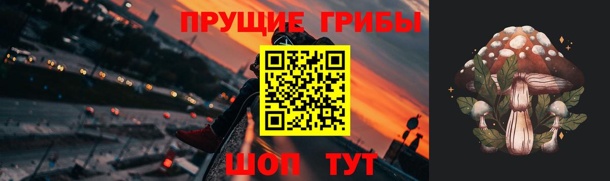 Галлюциногенные грибы прущие грибы  Вход с VPN  Ростов-на-Дону 